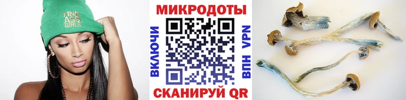 Галлюциногенные грибы Psilocybe Кемь