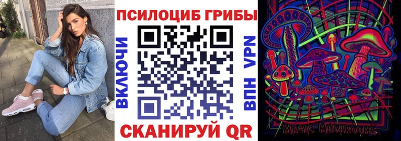 купить   Кемь  Псилоцибиновые грибы Psilocybe 